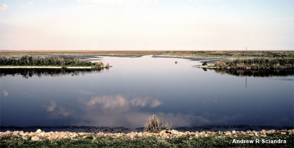 Okeechobee by Andrew R Sciandra